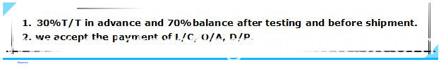 payment payment
